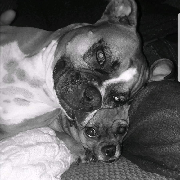 Meet your Posher, Chet - Picture 5 of 8